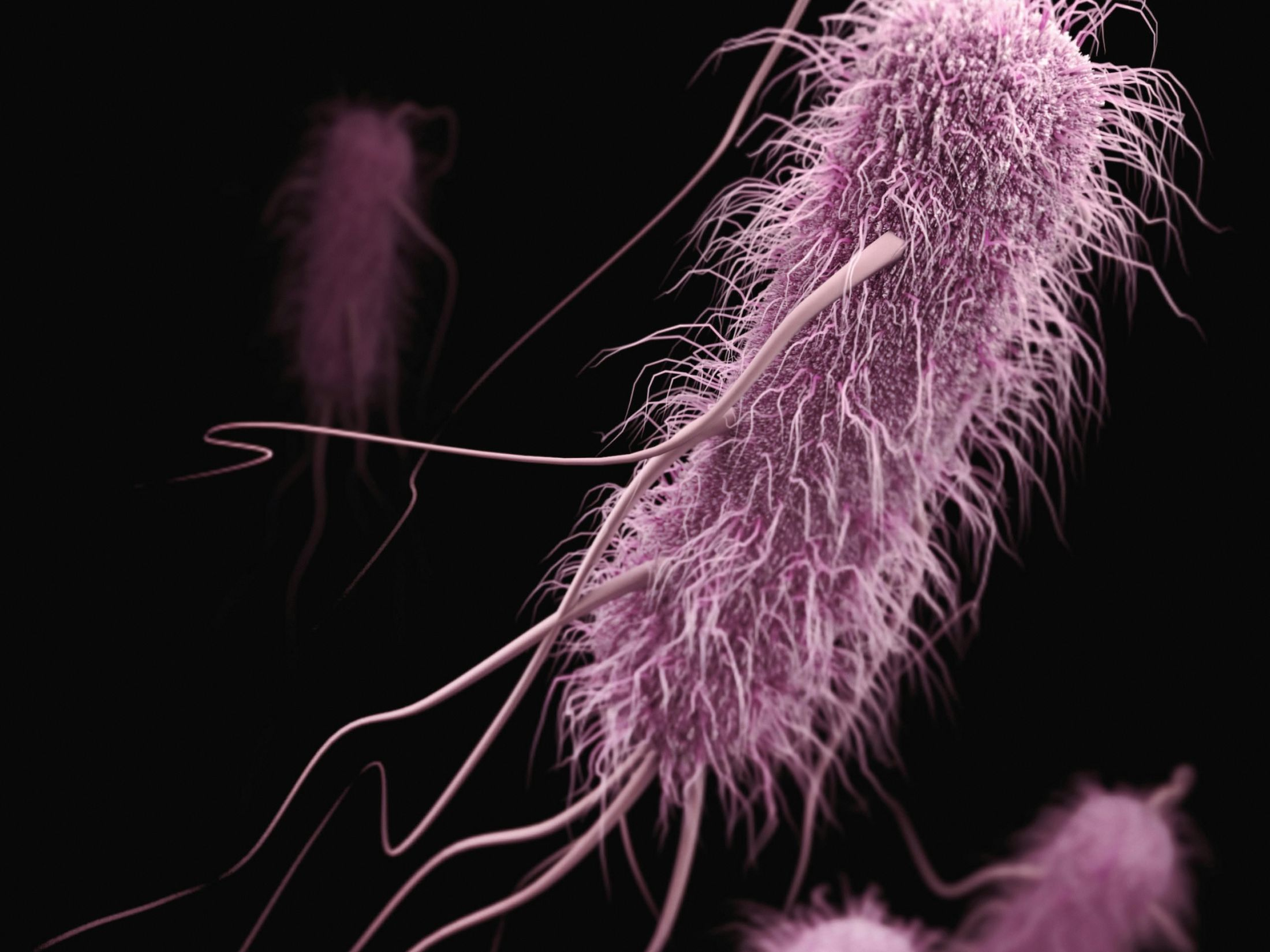 Stanford Evo 2 AI Model Generates Phages Against E. Coli