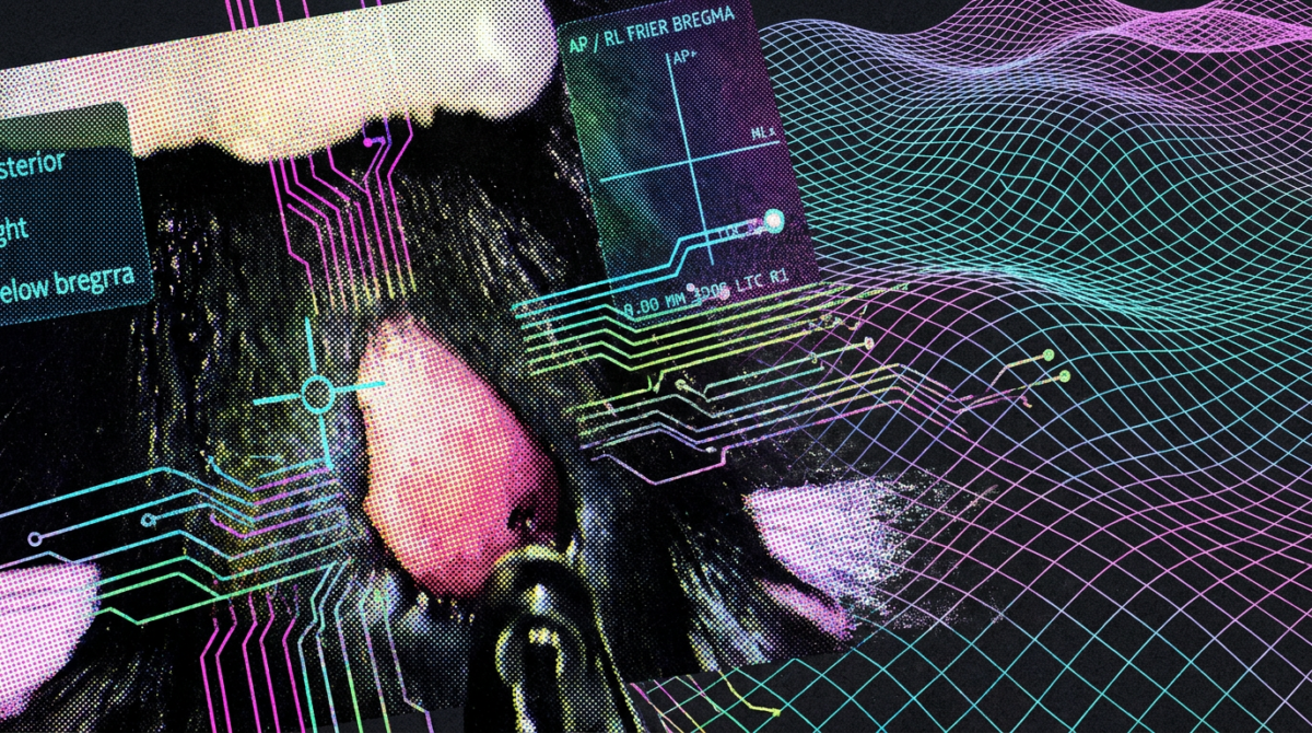 Claude Sonnet 5 picked gene therapy and stereotactic coordinates then ran mouse brain surgery