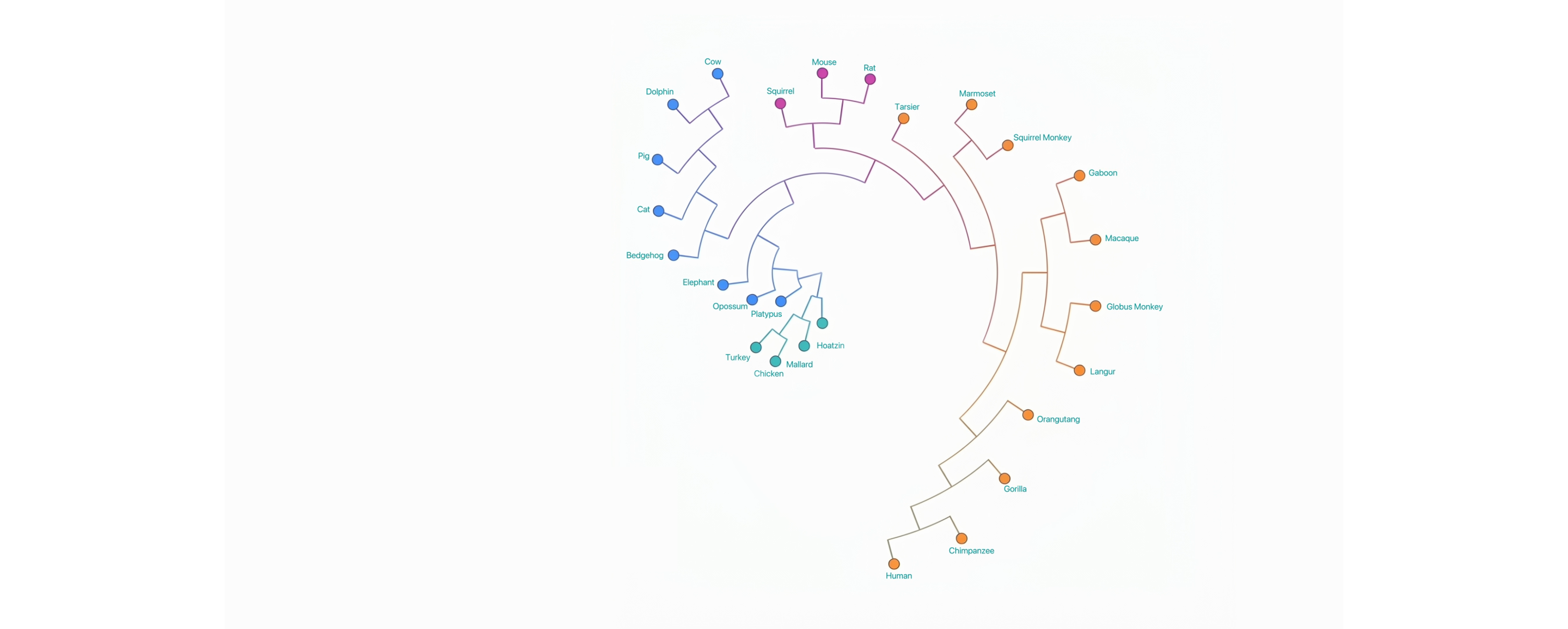 Epoch and METR launch MirrorCode to test long-horizon AI coding