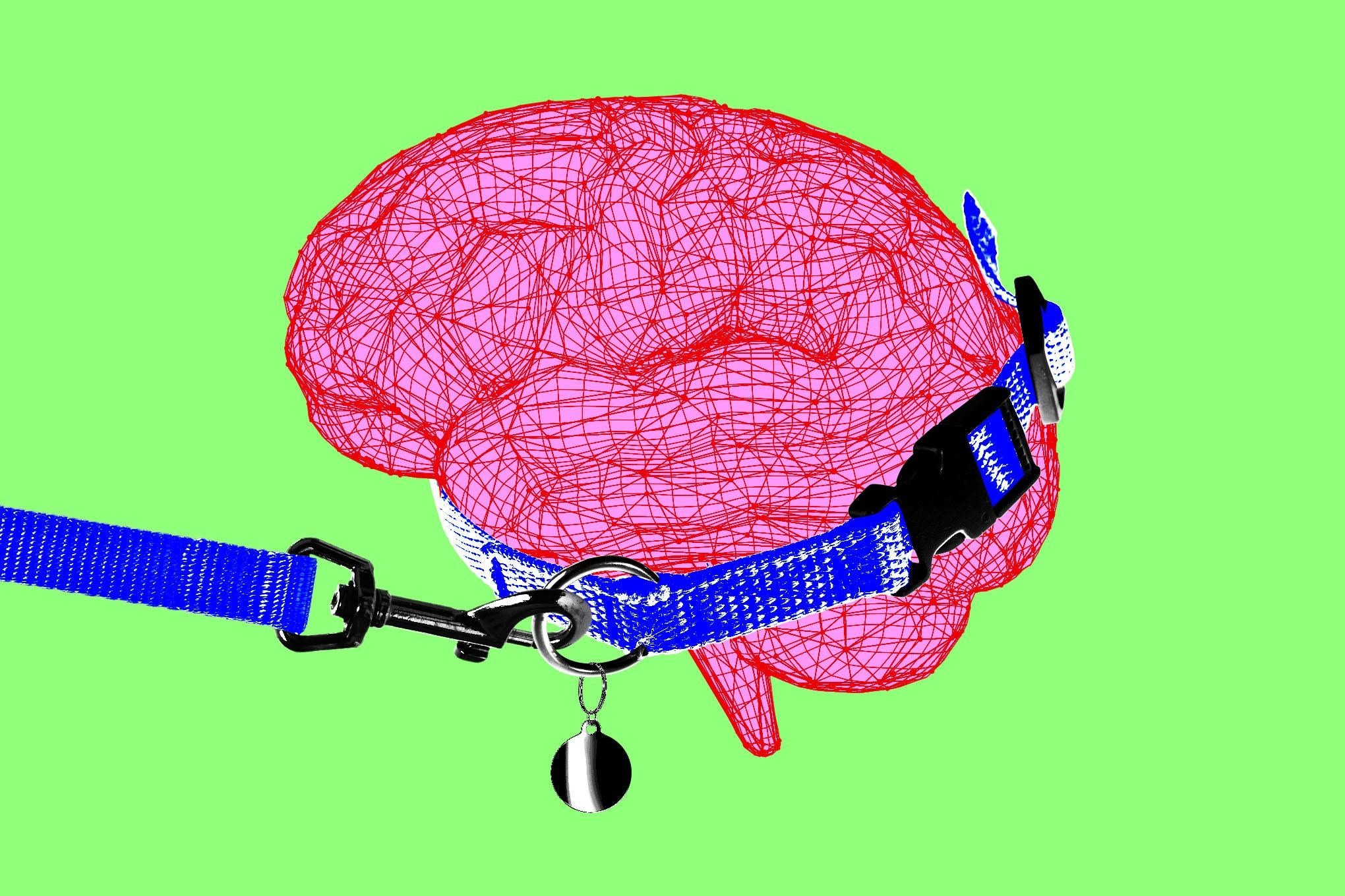 Anthropic CEO Calls to Slow AI Development and Open Models to METR
